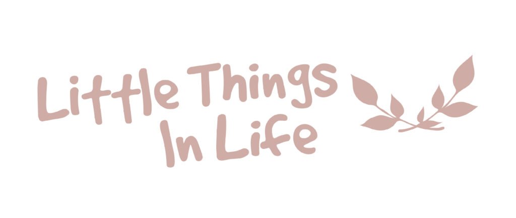 Little Things In Life